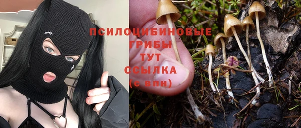 прущие крисы Белоозёрский